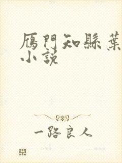 雁门知县叶青的小说