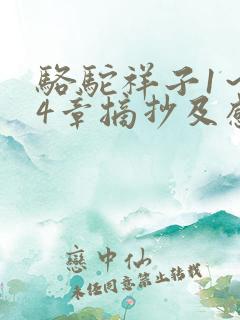 骆驼祥子1~24章摘抄及感悟