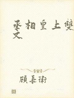 丞相皇上双男主文