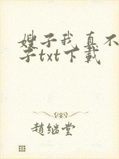 嫂子我真不是傻子txt下载