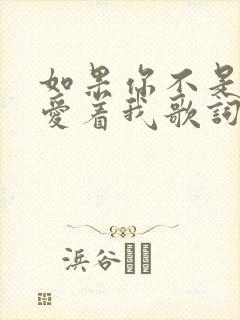 如果你不是真心爱着我歌词