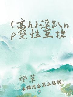 (高h)淫趴np双性互攻