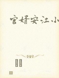 官婿安江小说
