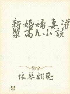 新婚娇妻灌满白浆高h小说