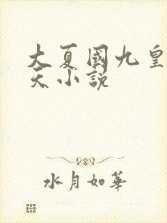 大夏国九皇子夏天小说