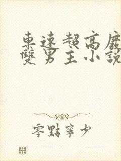 车速超高废文的双男主小说推荐完结