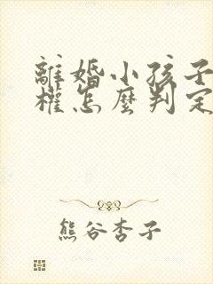 离婚小孩子抚养权怎么判定2024