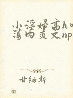 小淫妇高h喷水荡肉爽文np文