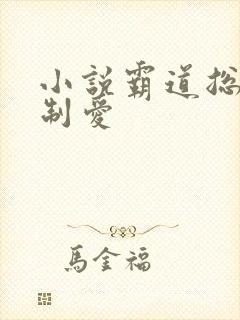 小说霸道总裁强制爱