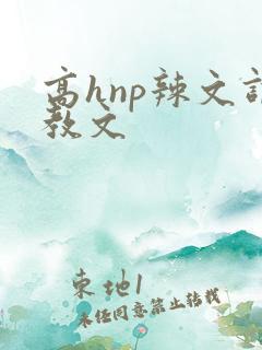 高hnp辣文调教文