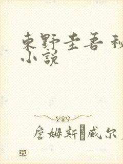 东野圭吾 秘密小说