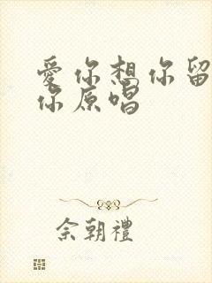 爱你想你留不住你原唱