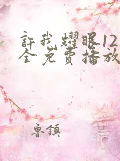 许我耀眼12集全免费播放