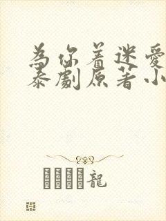 为你着迷爱龙奈泰剧原著小说