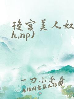 后宫美人奴(高h,np)