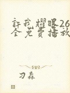 许我耀眼26集全免费播放