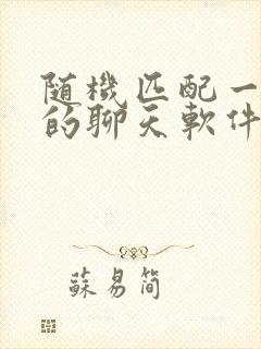 随机匹配一对一的聊天软件