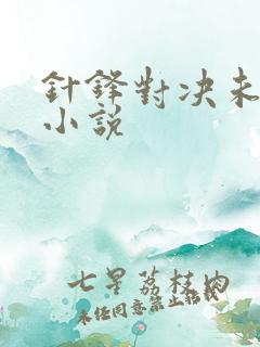 针锋对决未删减小说