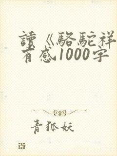 读《骆驼祥子》有感1000字