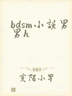 bdsm小说男男h
