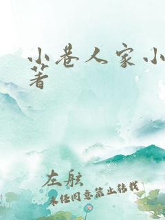 小巷人家小说原著