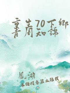 重生70下乡知青周知锦