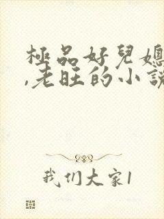 极品好儿媳秦雨,老旺的小说免费阅读