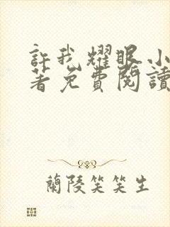 许我耀眼小说原著免费阅读