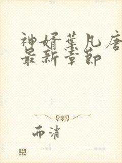 神婿叶凡唐若雪最新章节