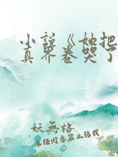 小说《她把全修真界卷哭了》