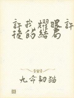 许我耀眼许妍最后的结局