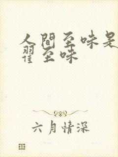 人间至味是清欢翟至味