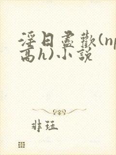 淫日尽欢(np高h)小说