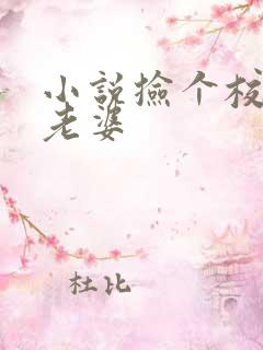 小说捡个校花做老婆