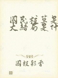 国民校草是女生大结局是什么