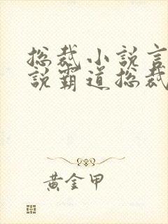 总裁小说言情小说霸道总裁爱上我