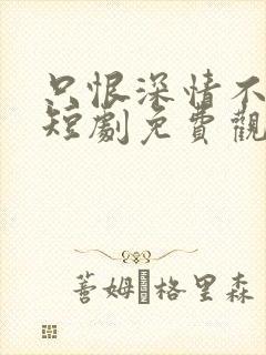 只恨深情不识鸢短剧免费观看大结局