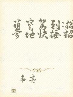 萌宝驾到:总裁爹地快接招