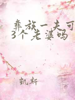 彝族一夫可以娶3个老婆吗