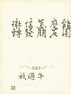 微信怎么能一键转发朋友圈