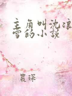 主角叫沈浪苏若雪的小说