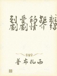 到爱的距离电视剧剧情介绍