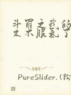斗罗之我的系统又不服气了小说txt下载