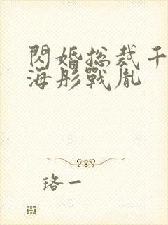 闪婚总裁千亿宠海彤战胤