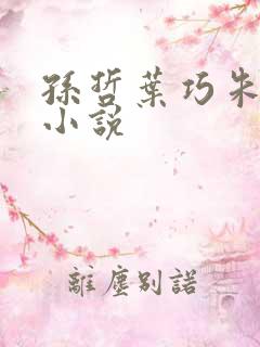 孙哲叶巧朱颜的小说