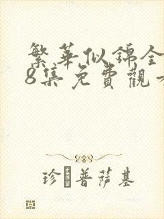 繁华似锦全集第8集免费观看