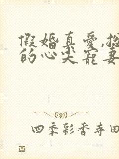 假婚真爱,总裁的心尖宠妻小说