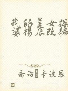 我的美女总裁老婆杨辰改编