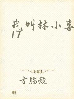 我叫林小喜今年17