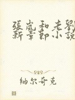 张岚和老刘的最新章节小说